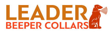 LEADER