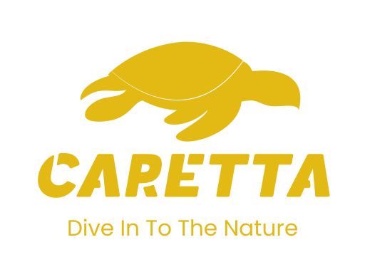 CARETTA