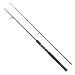Fladen Xtra Flexx 2.10 Mt 10-30 Gr 2P Spin Olta Kamışı