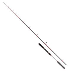 Ryuji Searider 1.80 Mt 60-180 Gr Olta Kamışı