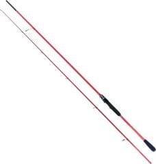 Ryuji Red Fox 2.40 Mt 5-55 Gr Olta Kamışı
