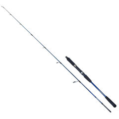 Ryuji Strobe II 1.98 Mt 80-170 Gr Olta Kamışı