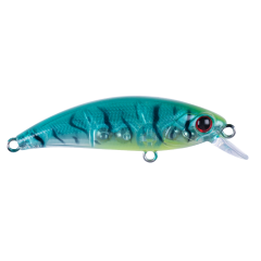 Hanfish Zıpır KG 5 Cm 4.5 Gr Maket Balık TROPICAL SHRIMP