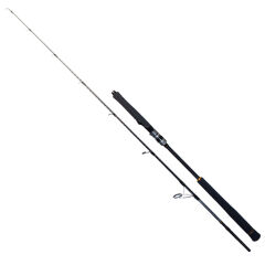 Ryuji Seawolf Sp 1.98 Mt 30-150 Gr Olta Kamışı
