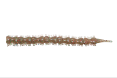 Hanfish Bibi 7 Cm Silikon Yem